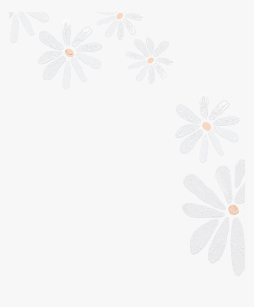 Flowers White Large Light Yellow Sticker Png - African Daisy, Transparent Png, Free Download