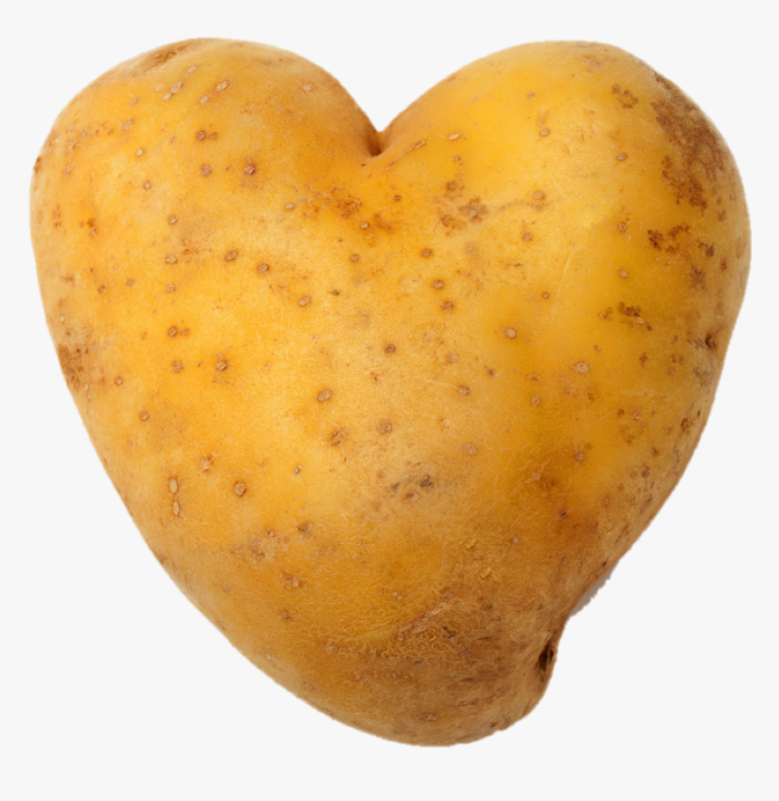 Yukon Gold Potato, HD Png Download, Free Download