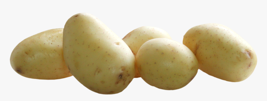 Clipart Vegetables Potato - All Vegetables Hd Png, Transparent Png, Free Download