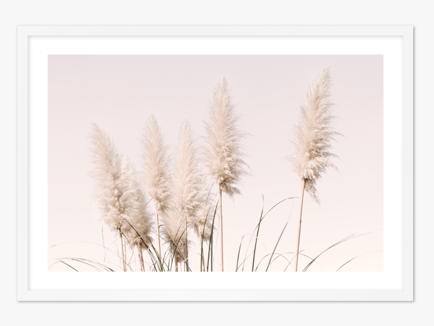 Phragmites, HD Png Download, Free Download