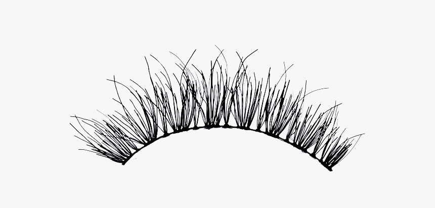 Eyelash Png - Transparent Background Eyelashes Png, Png Download, Free Download