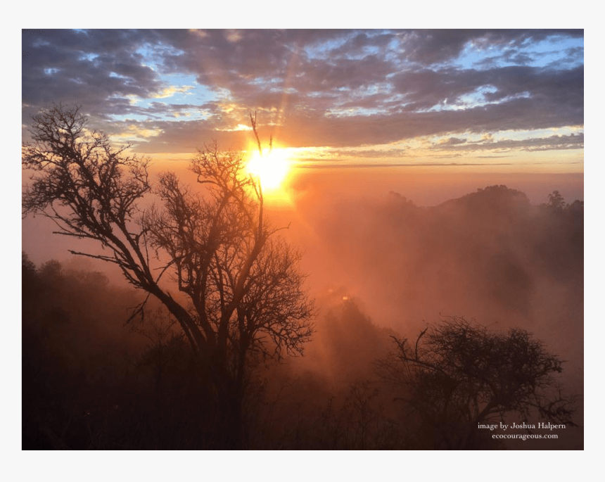 The Sun Sets On 2018 - Red Sky At Morning, HD Png Download, Free Download