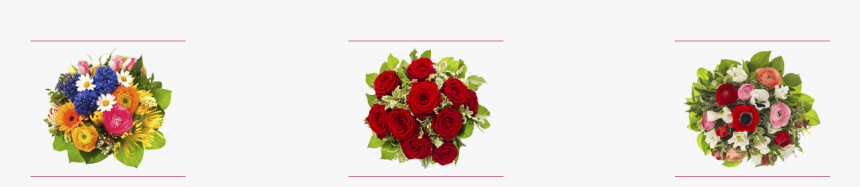 Garden Roses, HD Png Download, Free Download