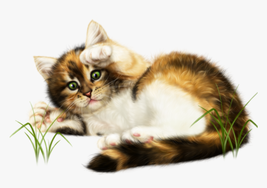 #kitten #kitty #cat #cute #playtime #layingdown #ftestickers - Sonntag Bilder Gratis, HD Png Download, Free Download