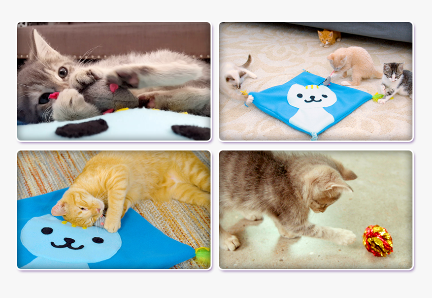 Kitty Cat Mat, HD Png Download, Free Download