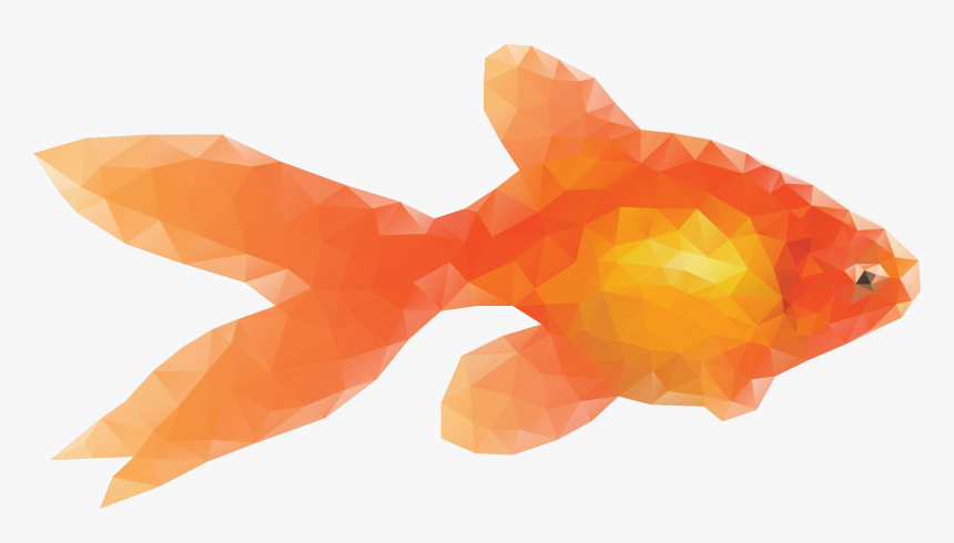 Goldfish Png - Low Poly Goldfish, Transparent Png, Free Download