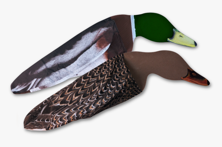 Image Of Sillosocks Mallard Feeder - Mallard, HD Png Download, Free Download