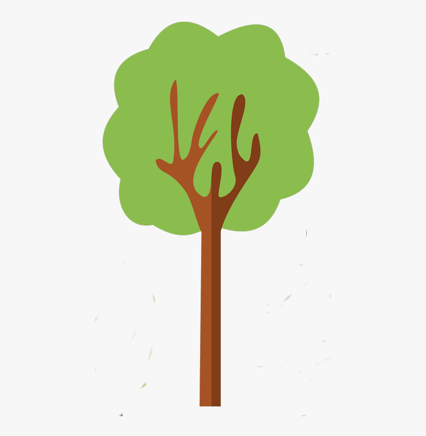 Árbol - Illustration, HD Png Download, Free Download