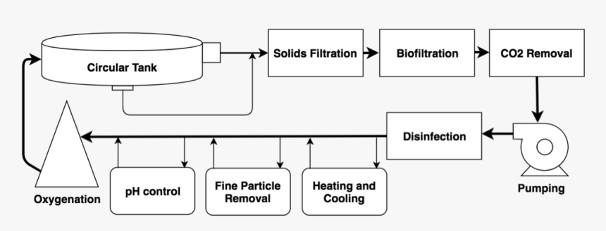 Recirculating Aquaculture System Flow Chart - Symmetry, HD Png Download, Free Download