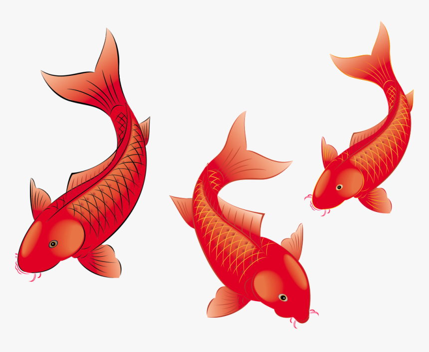 De Alta Definicion De Peces De Estética Png De Pintura, Transparent Png, Free Download