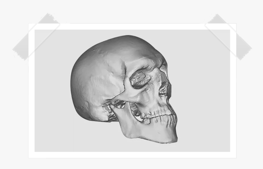 Slika-1 - Skull, HD Png Download, Free Download