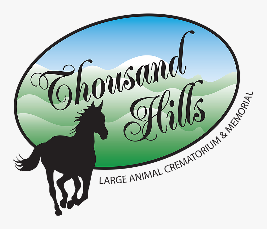 Horse Hoof Supplement Label Clipart , Png Download - Stallion, Transparent Png, Free Download