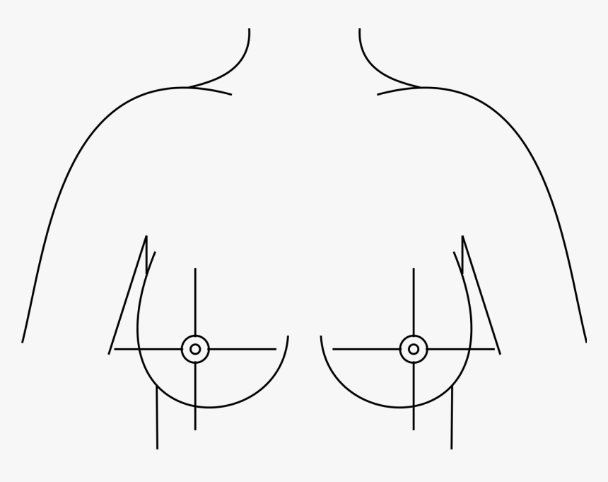 Breast Drawing With Quadrants, HD Png Download, Free Download