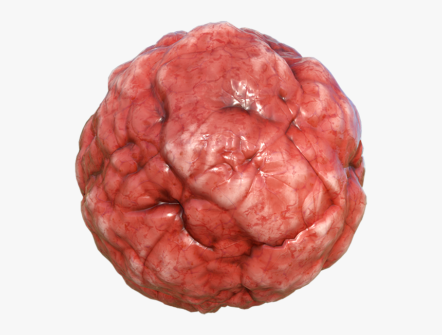 Bloody Organ, Intestine Or Flesh Texture, Seamless - Brain (as Food), HD Png Download, Free Download