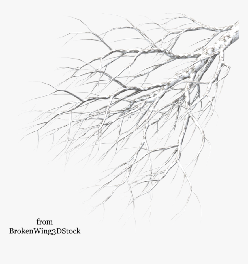 50, Winter Landscape - White Tree Branch Png, Transparent Png, Free Download