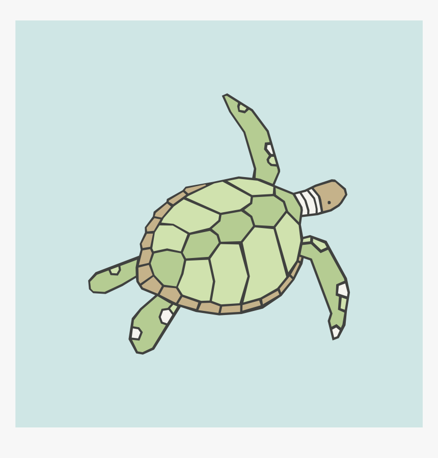 Green Sea Turtle, HD Png Download - kindpng