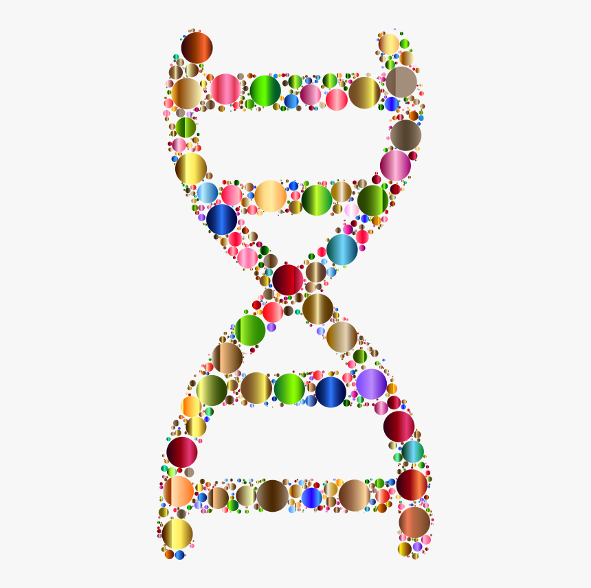 Prismatic Dna Helix Circles - Molecular Biology Clipart, HD Png Download, Free Download