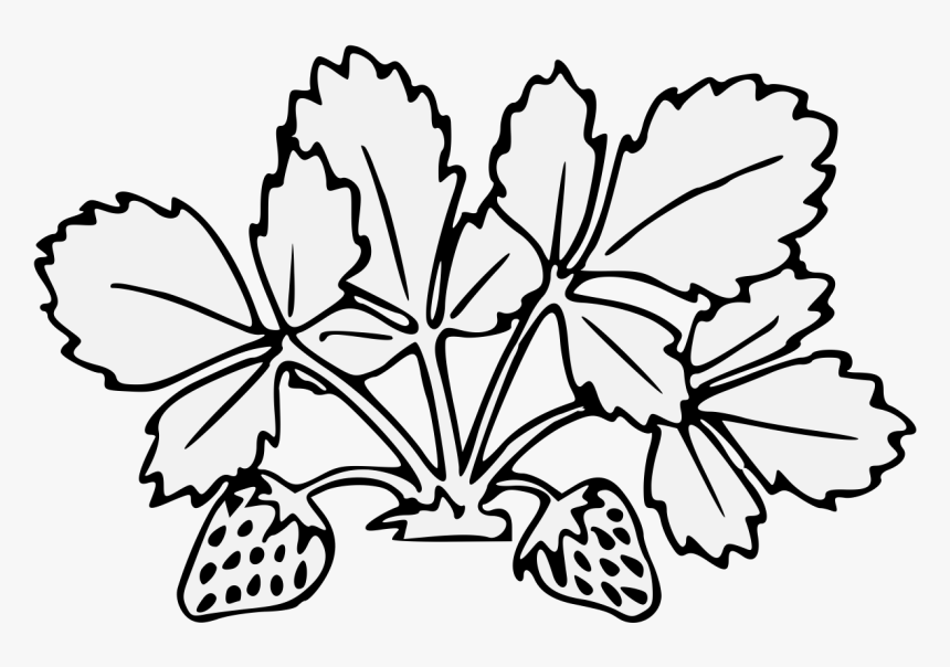 Strawberry Stem Drawing, HD Png Download, Free Download