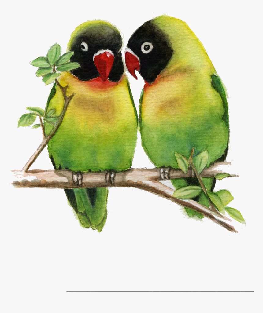 Exotic Birds Paintings, HD Png Download, Free Download