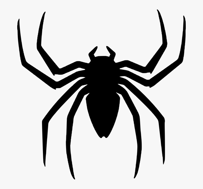 Spiderman Back Spider Logo, HD Png Download - kindpng
