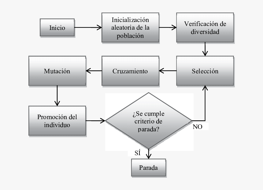 Diagrama De Flujo De Promocion, HD Png Download, Free Download