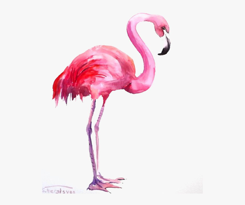 Water Color Flamingo Png, Transparent Png - kindpng