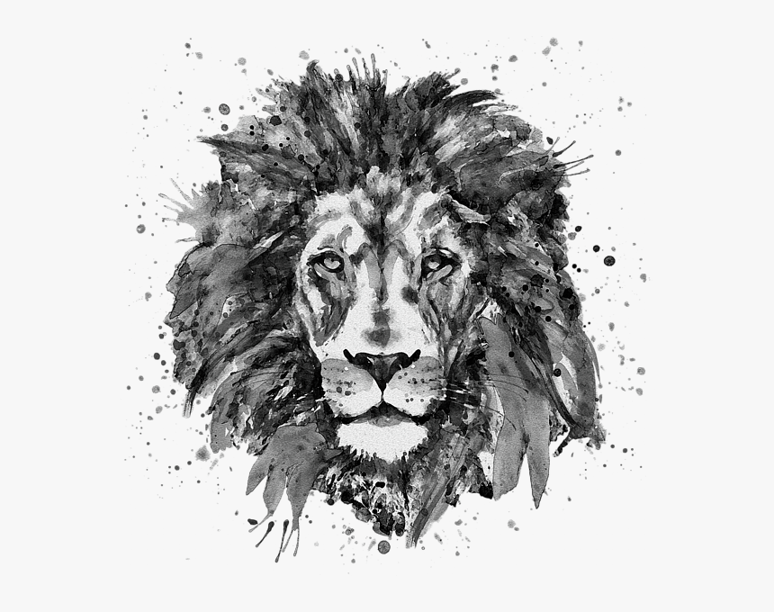 lions face black and white