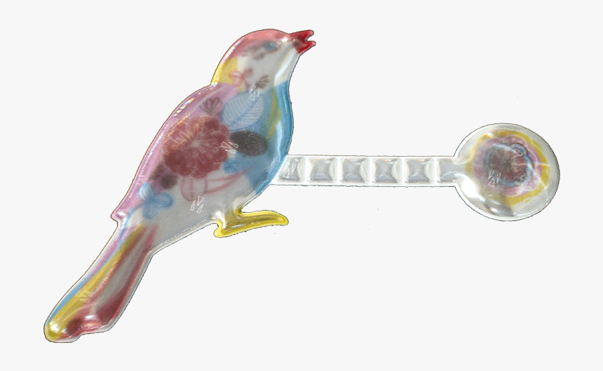 Transparent Watercolor Bird Png - Perching Bird, Png Download, Free Download