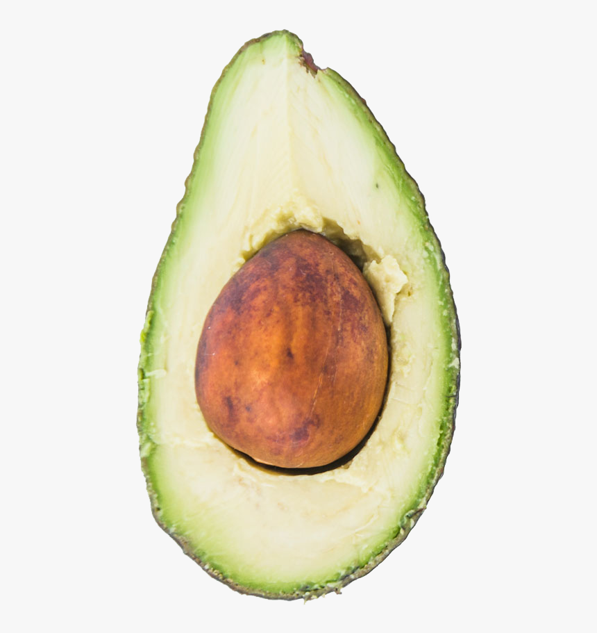 Avocado, HD Png Download, Free Download