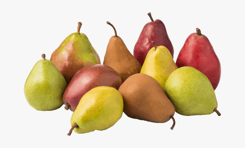 Asian Pear, HD Png Download, Free Download