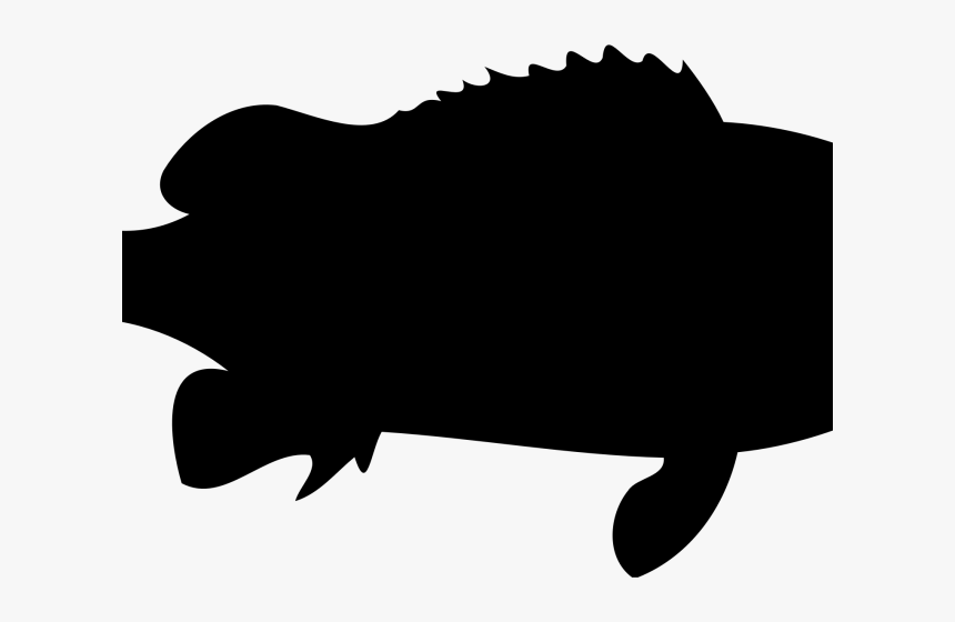 Trout Clipart Shadow, HD Png Download, Free Download