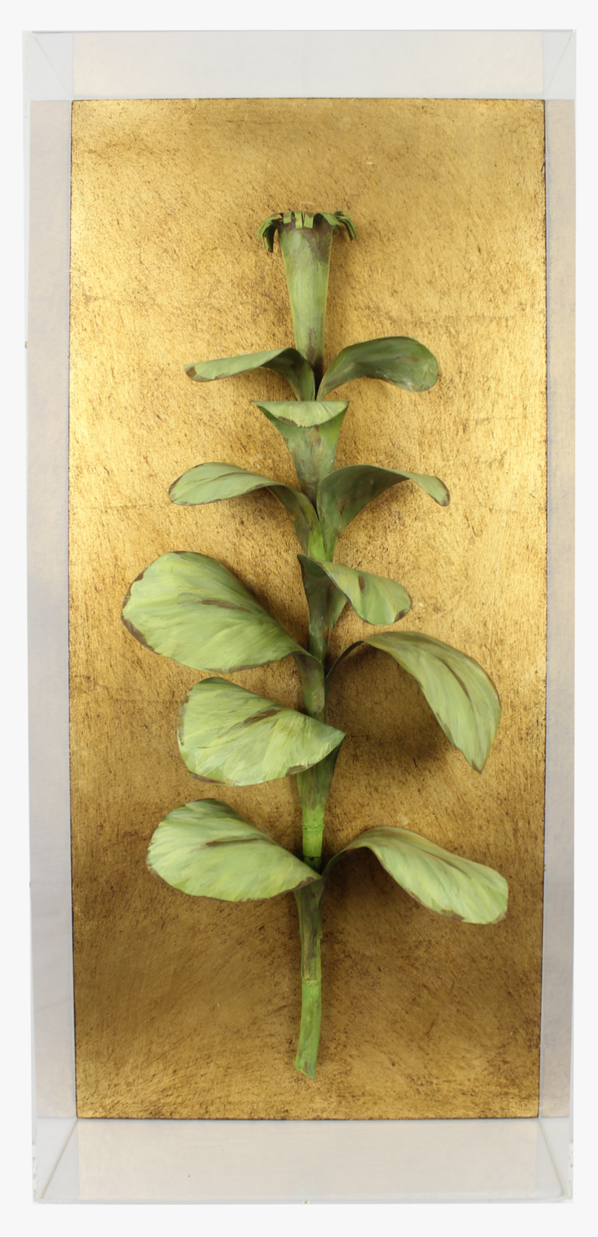 Tobacco - Arum, HD Png Download, Free Download