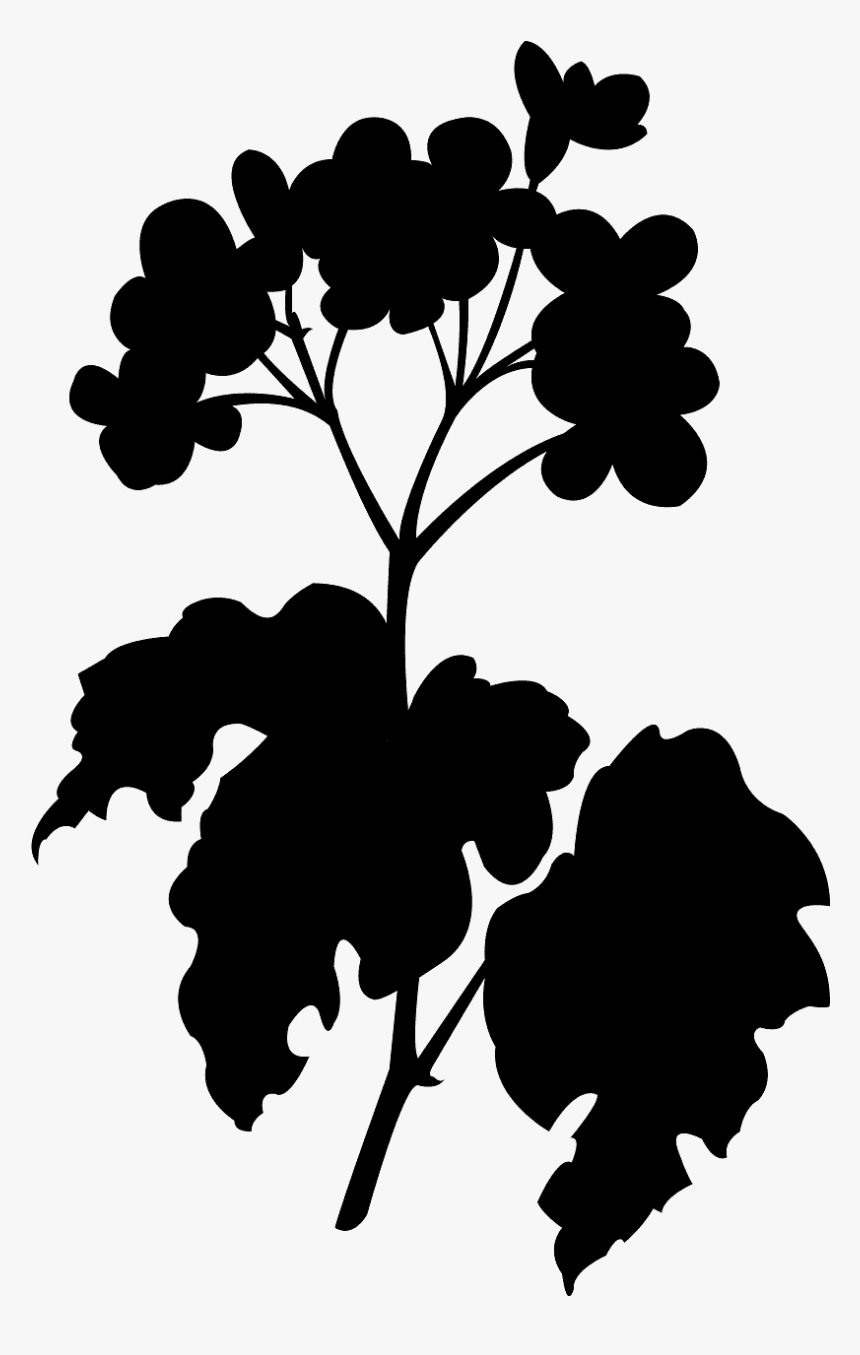 Begonia Silhouette, HD Png Download, Free Download