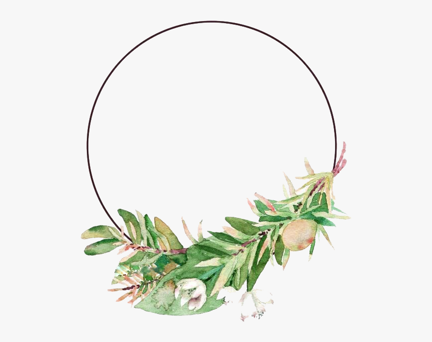 #circle #frame #leaf #leafframe #freetoedit - Flower Leaf Circle Png, Transparent Png, Free Download