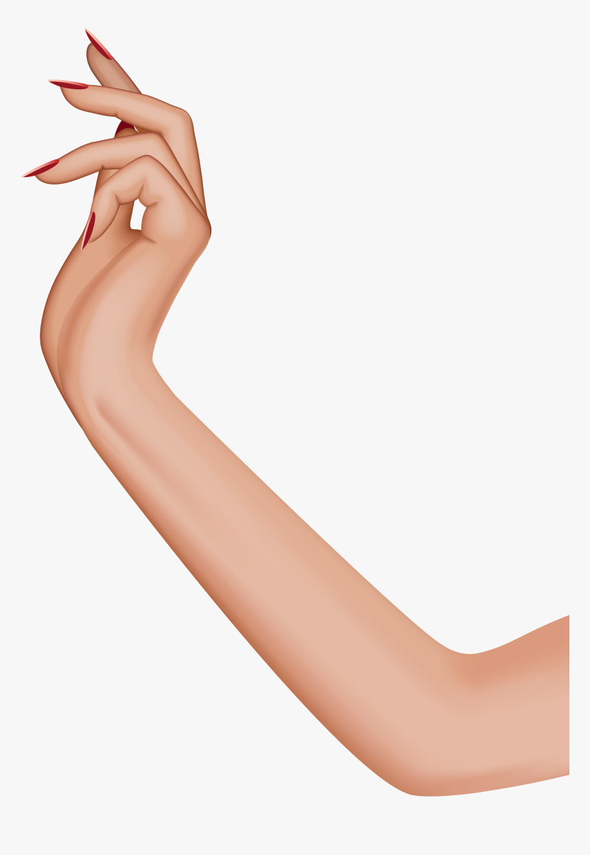 Female Hand Png Clip - Female Hand Png, Transparent Png, Free Download