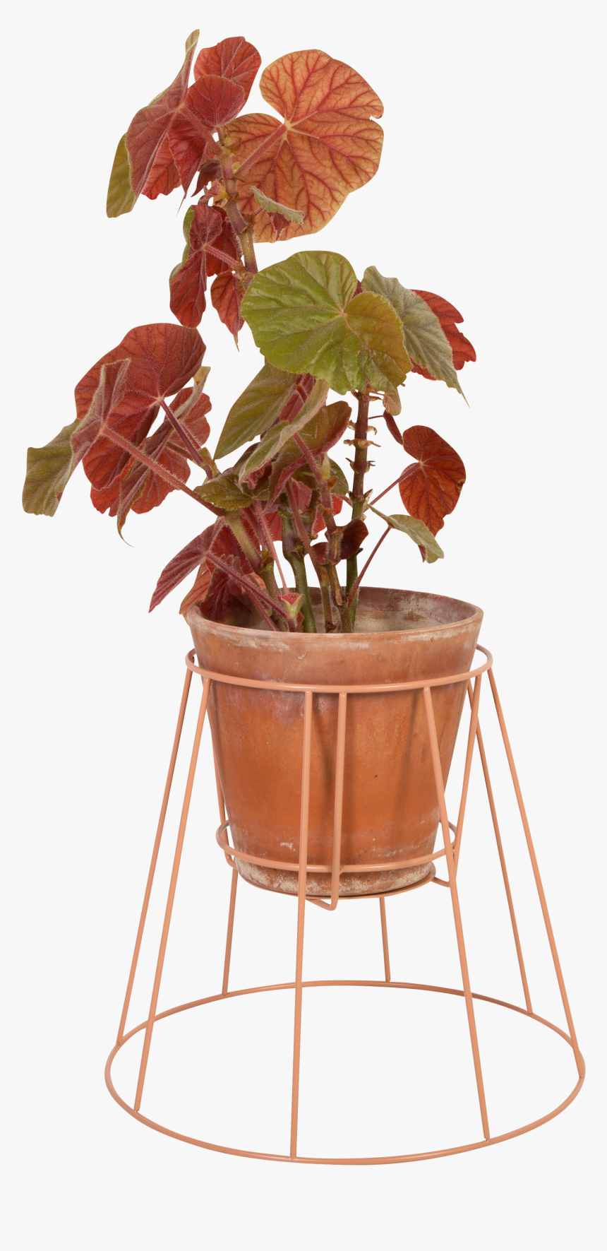 Flowerpot, HD Png Download, Free Download