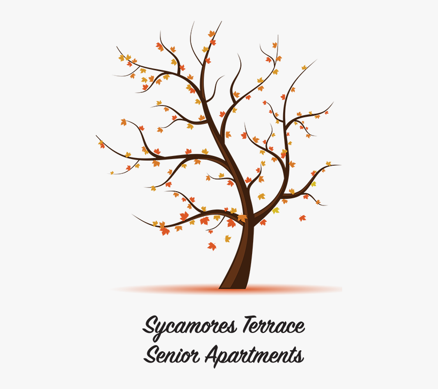 Sycamores Logo 500wide - Tree, HD Png Download, Free Download