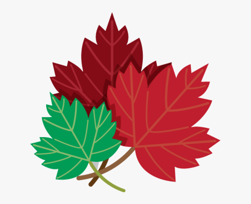 Drawing Of Red And Green Maple Leaves Png Image - Png Drawn Maple Leaf, Transparent Png, Free Download