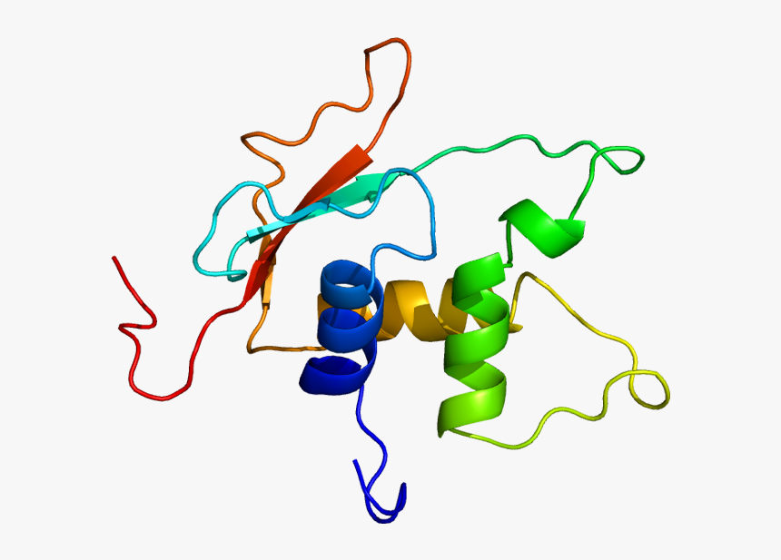 Protein Irf4 Pdb 2dll - Interferon Regulatory Factor 4 Structure, HD Png Download, Free Download
