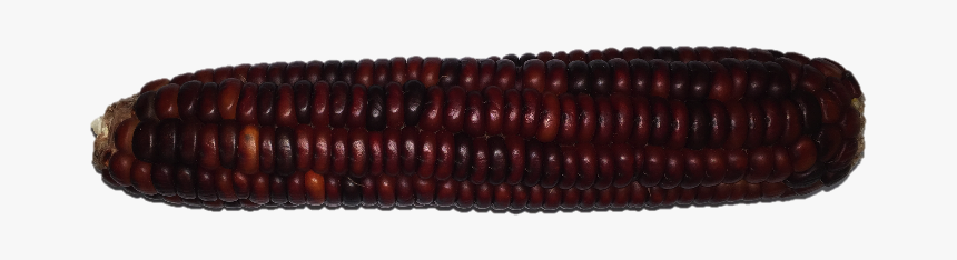 Red Cherokee - Corn Kernels, HD Png Download, Free Download