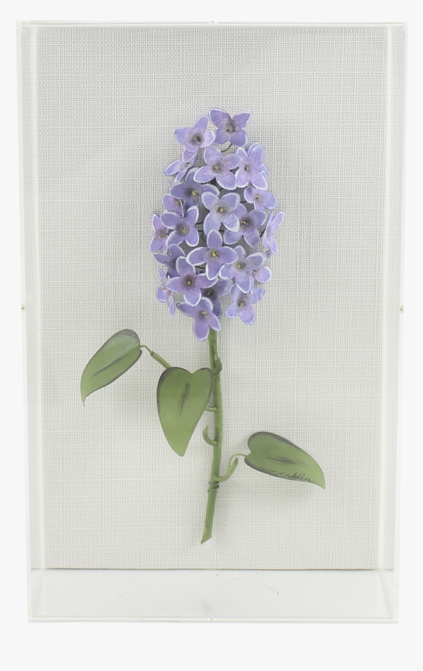 Lilac - Hyacinth, HD Png Download, Free Download