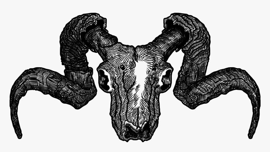 Skull Png , Png Download - Illustration, Transparent Png, Free Download