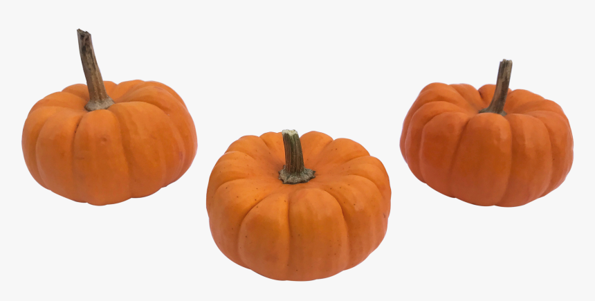 Mini Pumpkin Png - Small Pumpkin Png, Transparent Png, Free Download