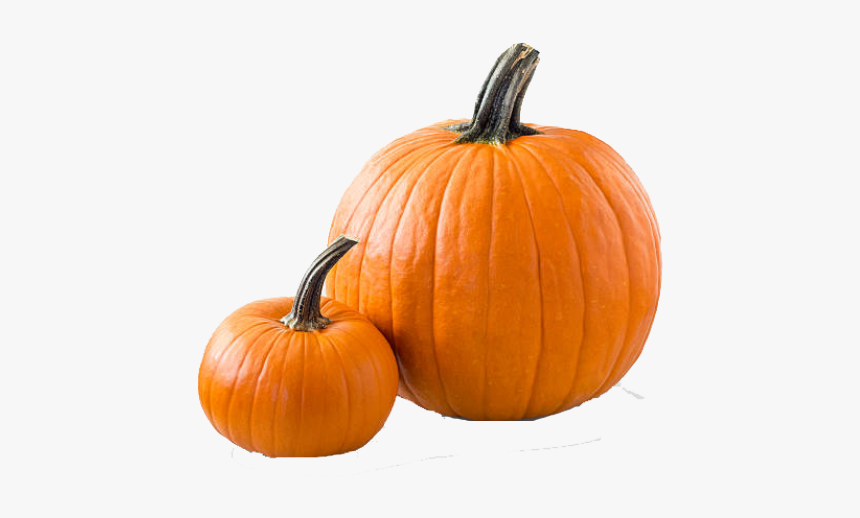 Pumpkin Png Transparent Images - Niche Meme Png Transparent, Png Download, Free Download