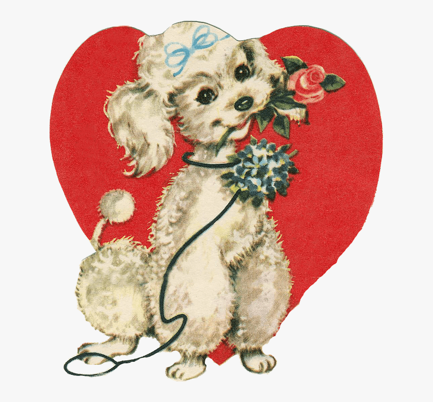 Cute Little Dog Holding A Rose - Last Day Of February, HD Png Download, Free Download