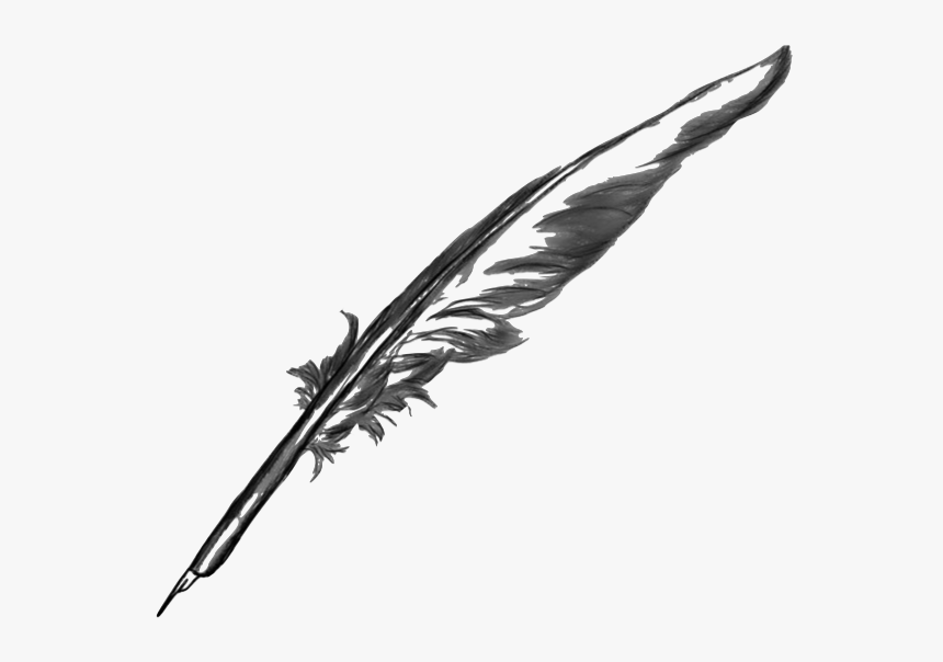 Feather Quill Pen Transparent Background, HD Png Download, Free Download