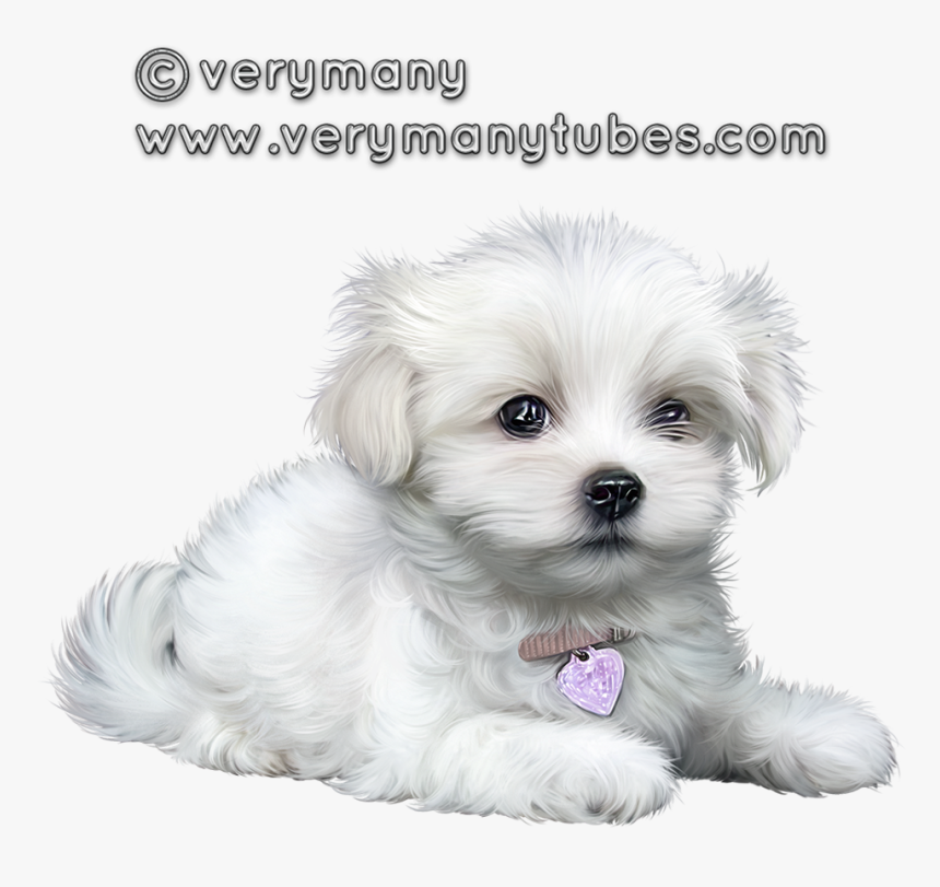 Cute Puppies, Clip Art, Animaux, Cutest Dogs, Illustrations - Perritos Animados Shitzu Png, Transparent Png, Free Download