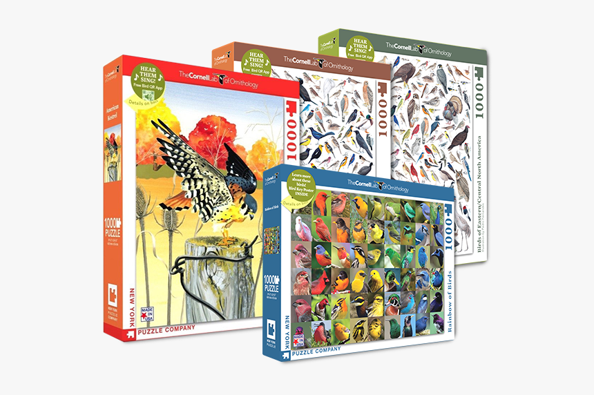 New York Puzzle Company Rainbow Of Birds 1000 Piece, HD Png Download, Free Download