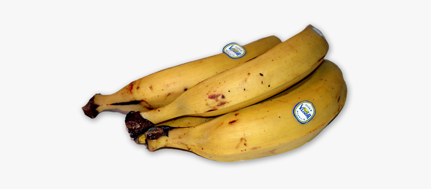 Thumb Image - Platano Macho Png, Transparent Png, Free Download