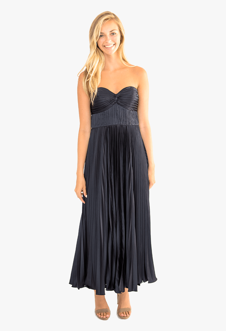 Amur belle hotsell pleated dress